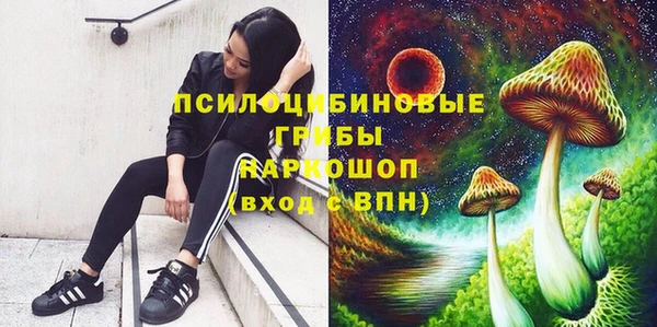 ALPHA PVP Костерёво