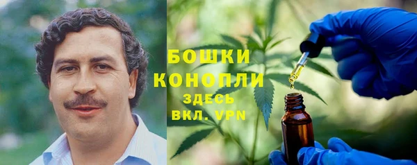 ALPHA PVP Костерёво