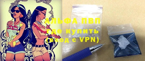 гашик Кодинск