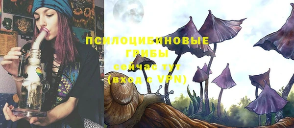 ALPHA PVP Костерёво